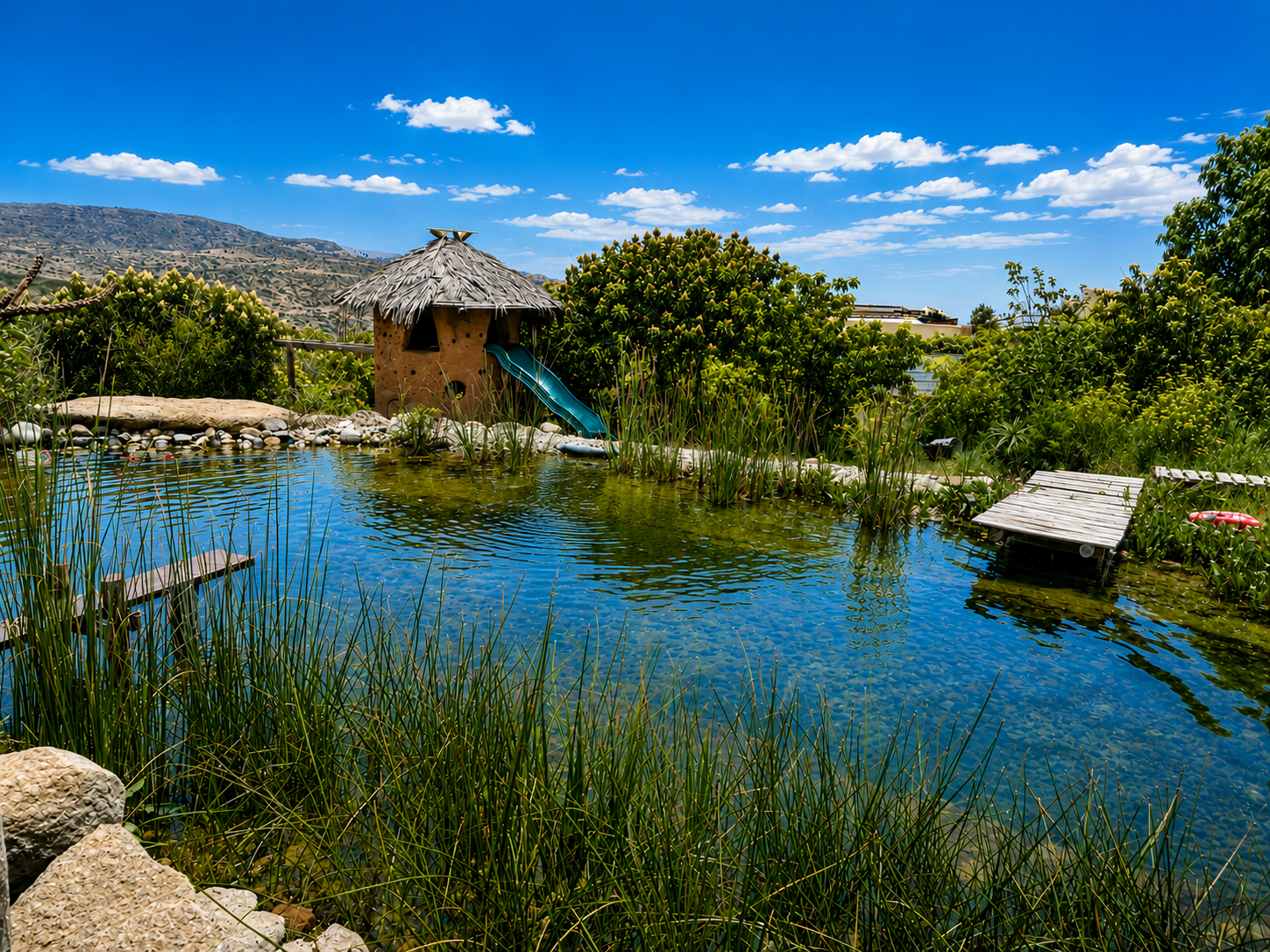 Biopiscina familiar en las colinas de Ensenada